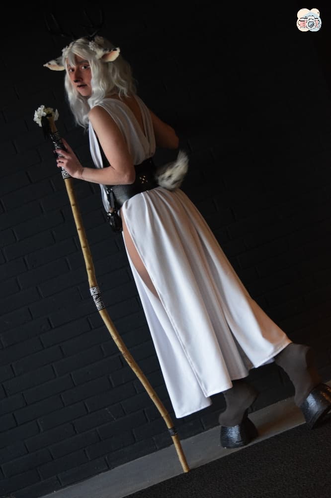 Faune noir et blanc - Photo 14