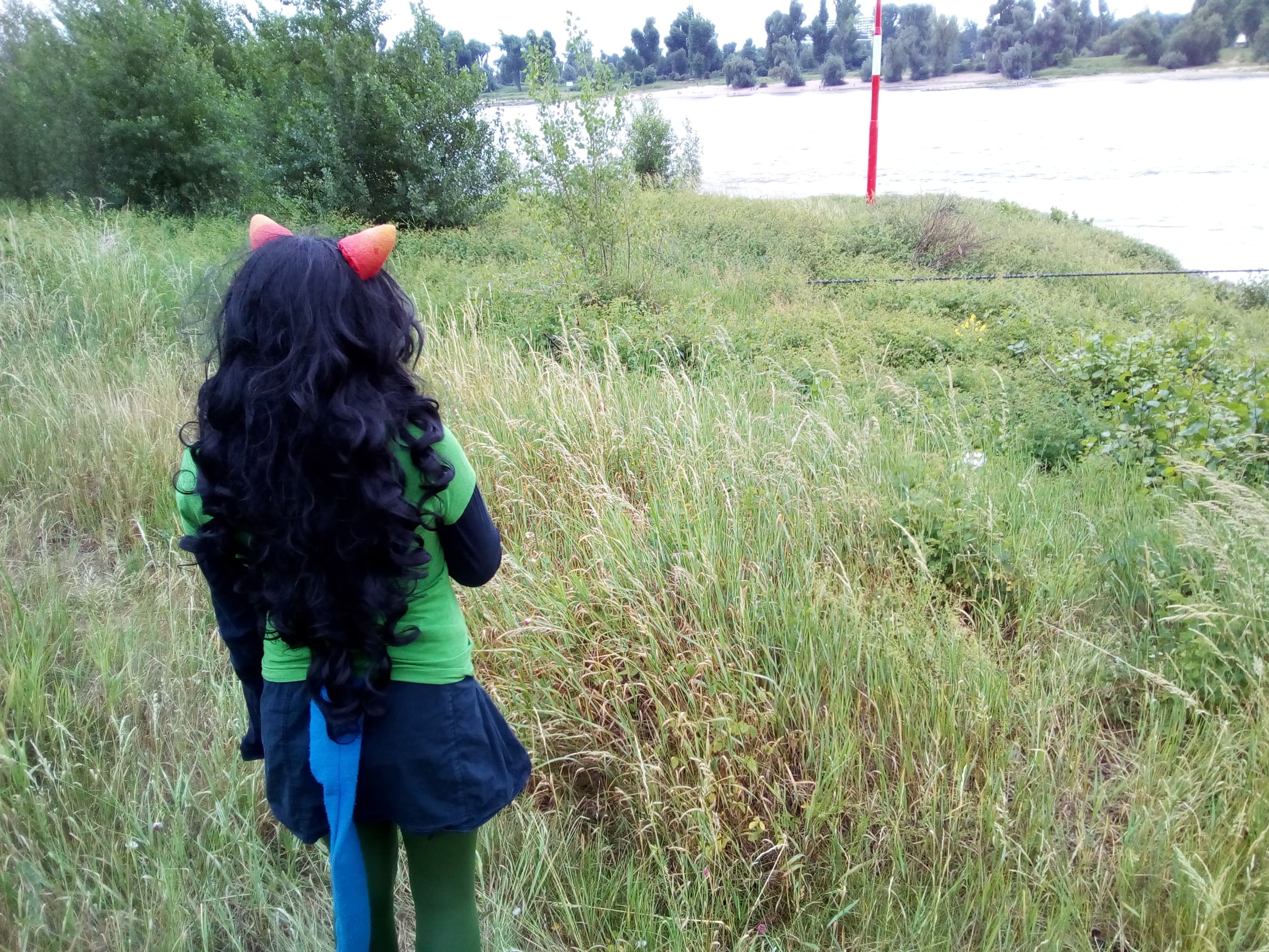 Meulin Leijon - Photo 2