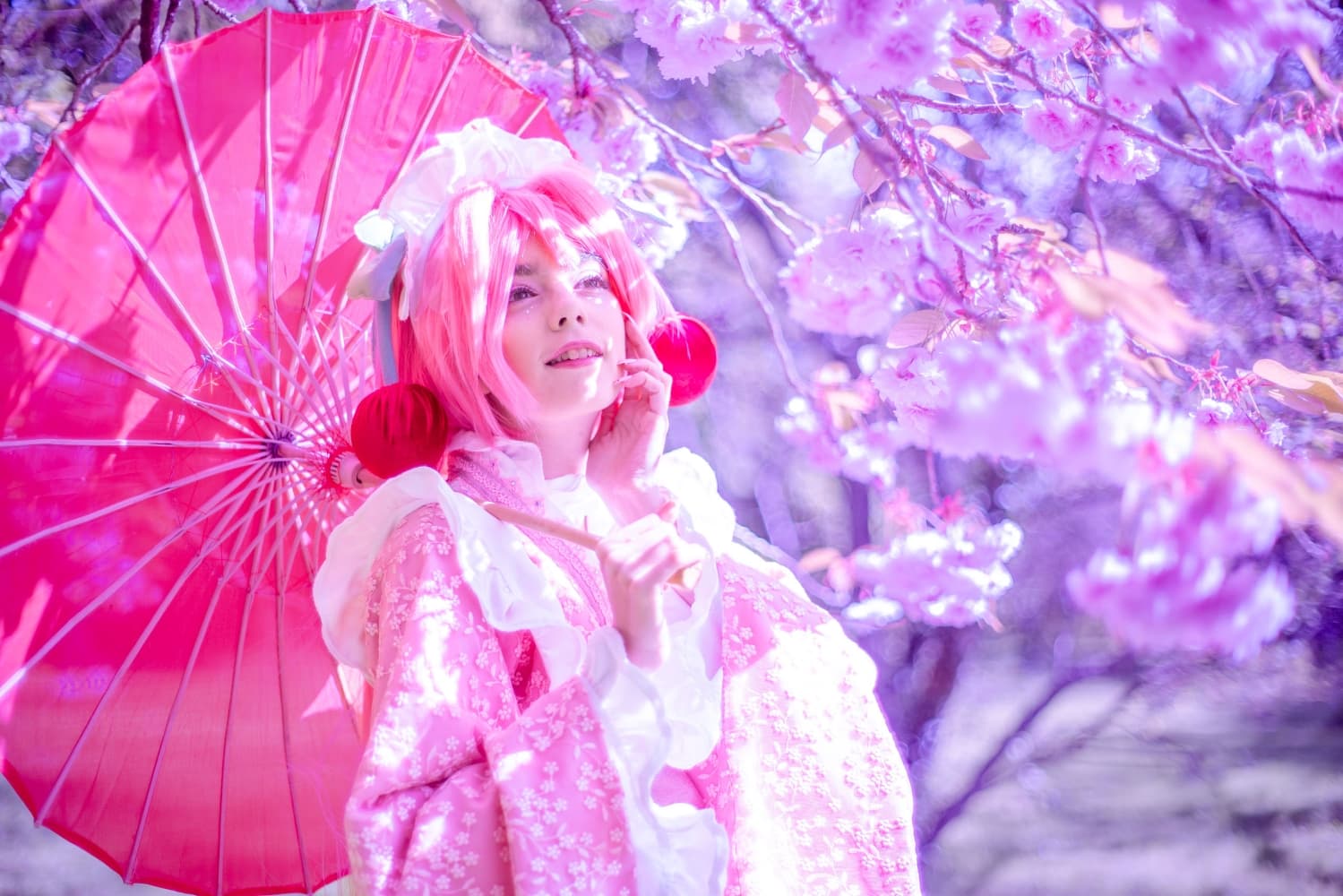 Sakura Miku -Hanami- - Photo 2