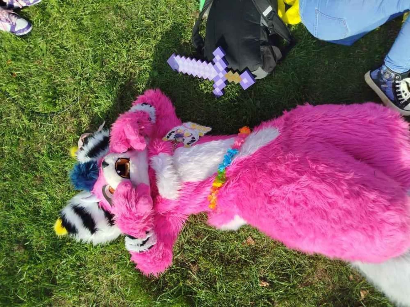 Folie furmeet - Photo 10