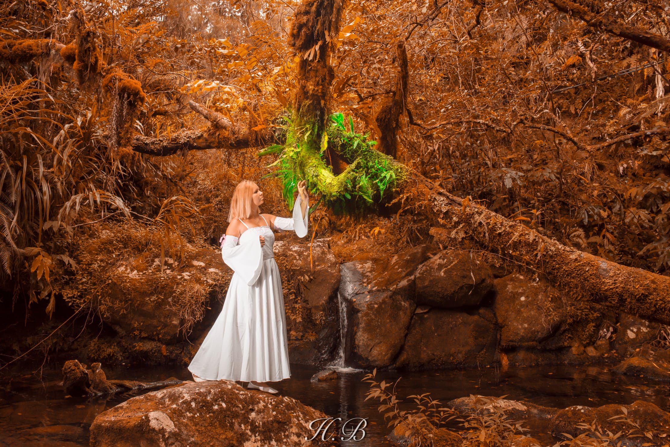 Shooting Nature - Photo 15