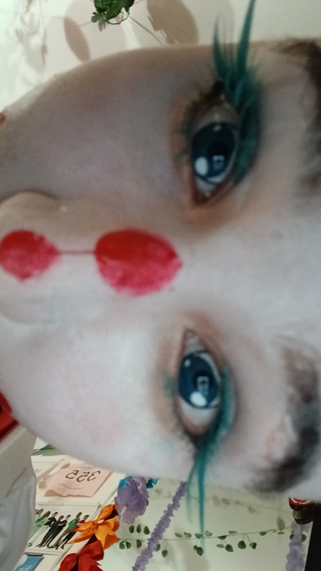 Kumo oni  - Photo 17