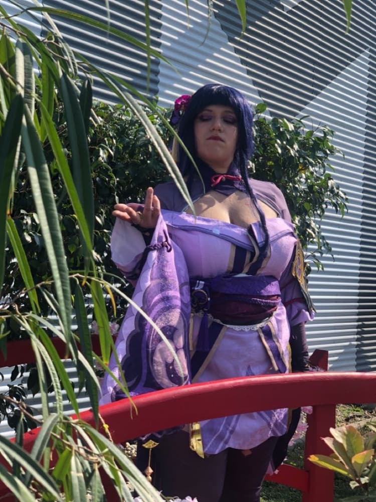 Raiden Shogun - Photo 3