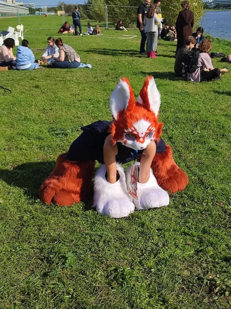 Folie furmeet - Photo 3