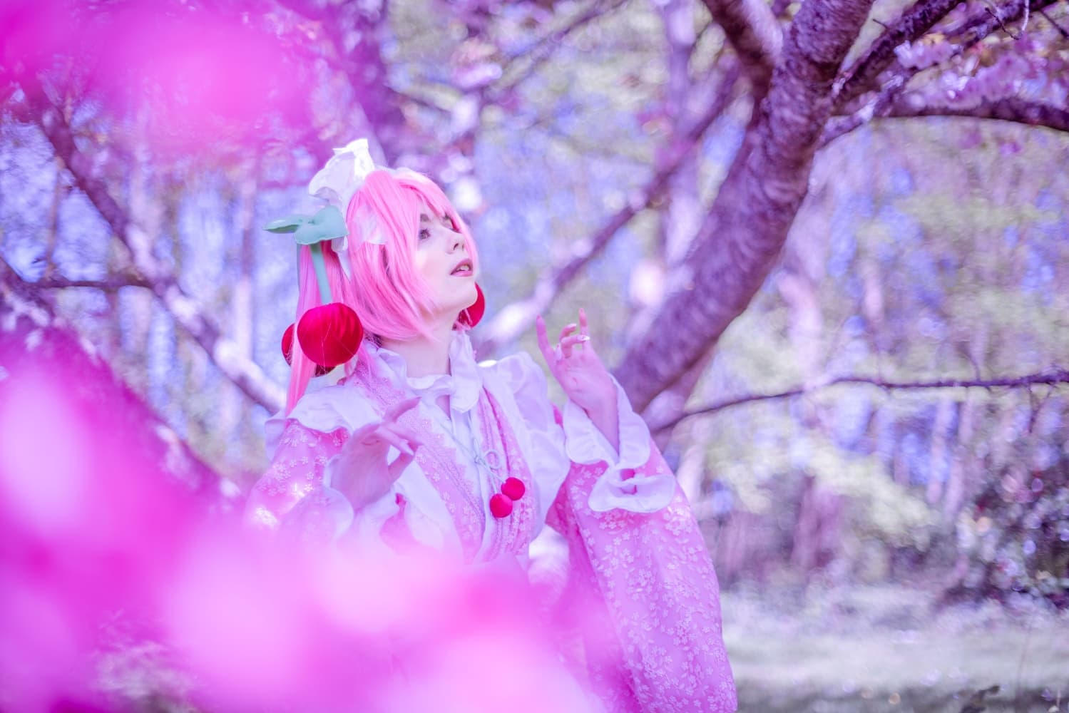 Sakura Miku -Hanami- - Photo 13