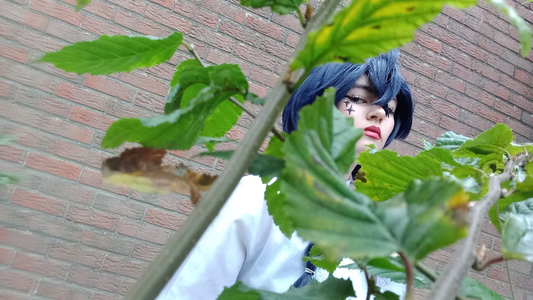 Vanitas 2024  - Photo 2