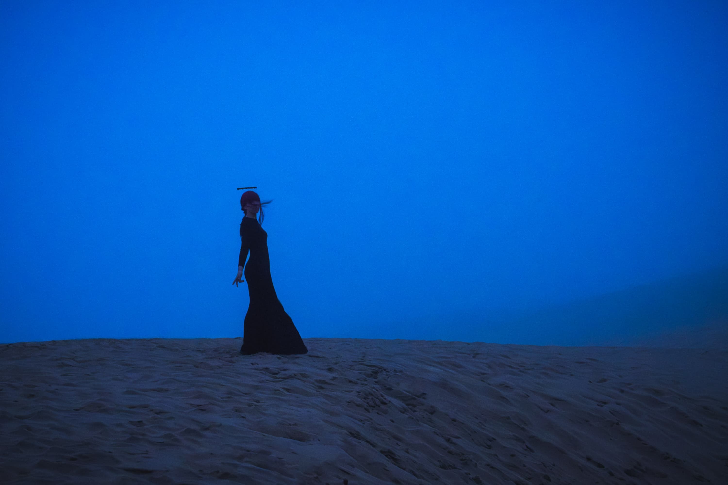 Makima chainsaw man  - Photo 1