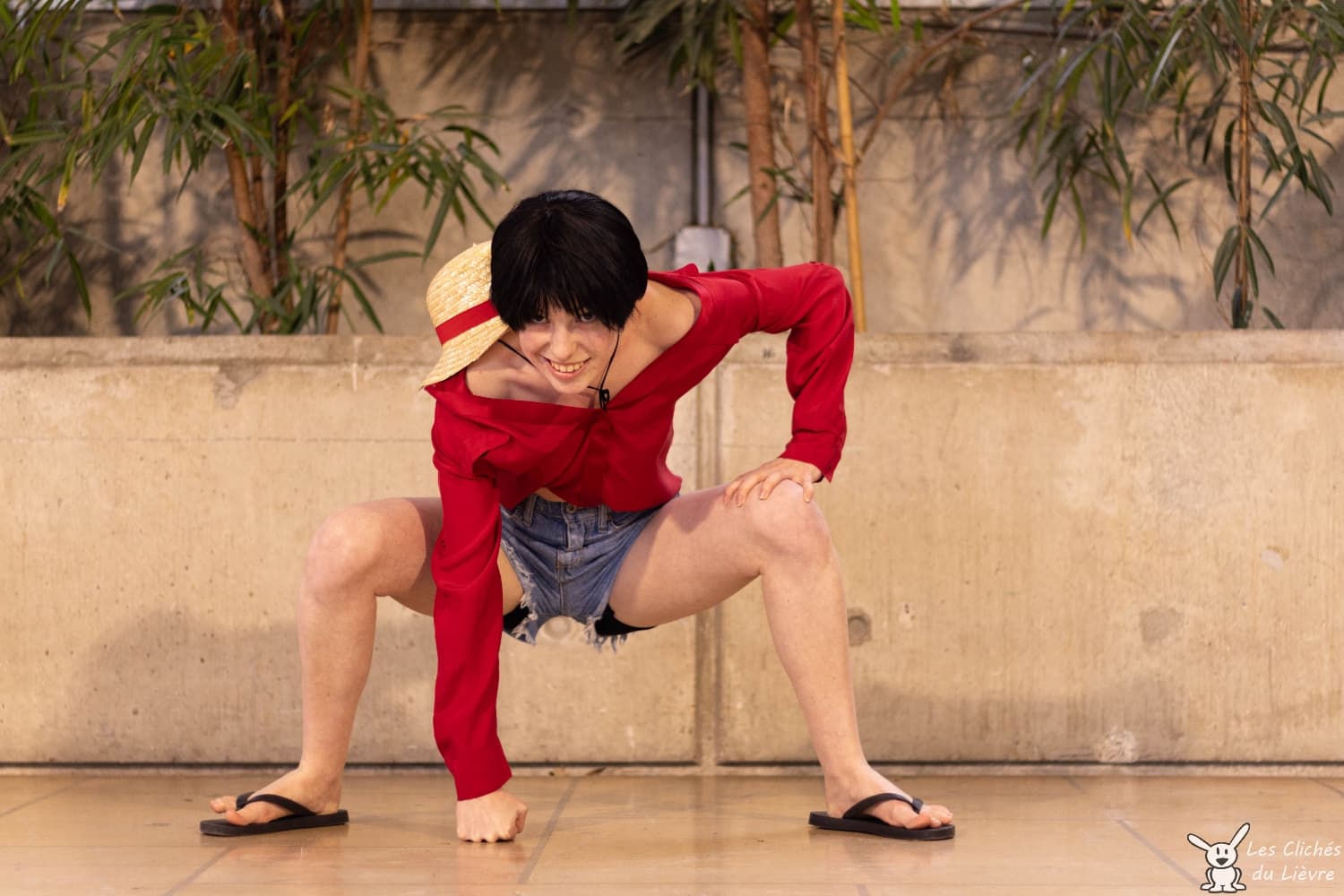 Luffy  - Photo 1