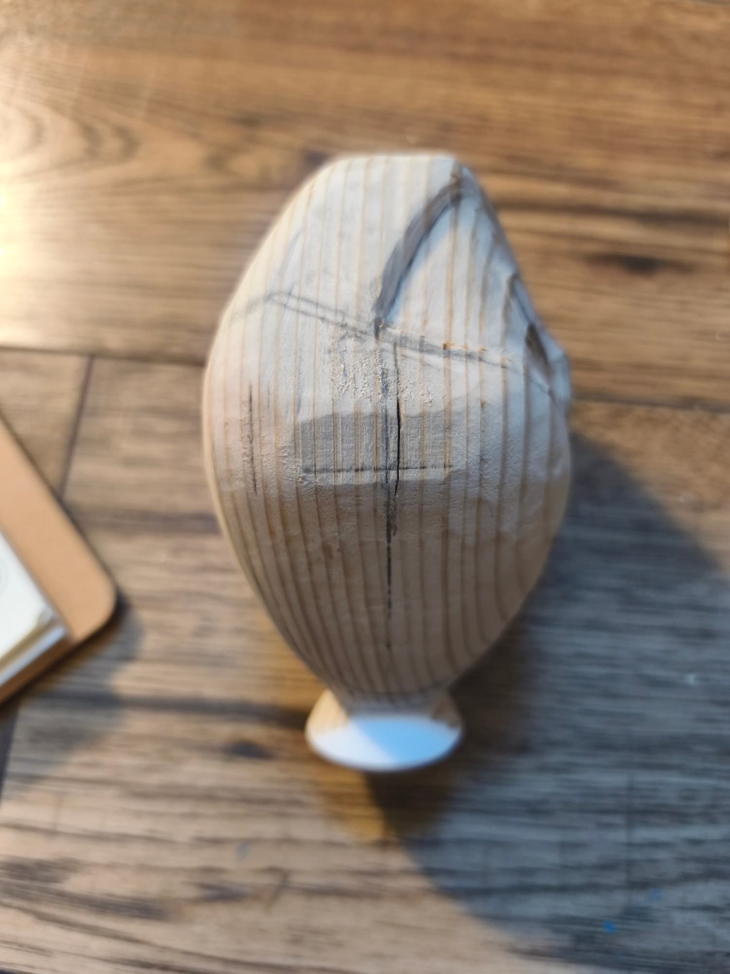 Préparation Edalyn - Photo 15