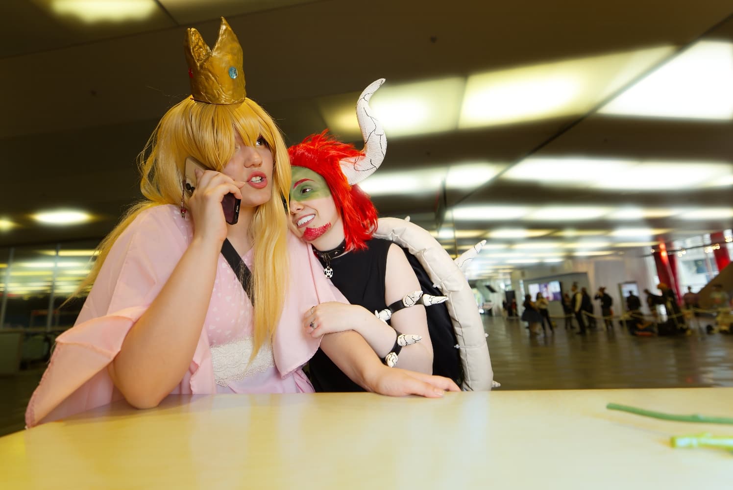 Bowser et Peach - Photo 10