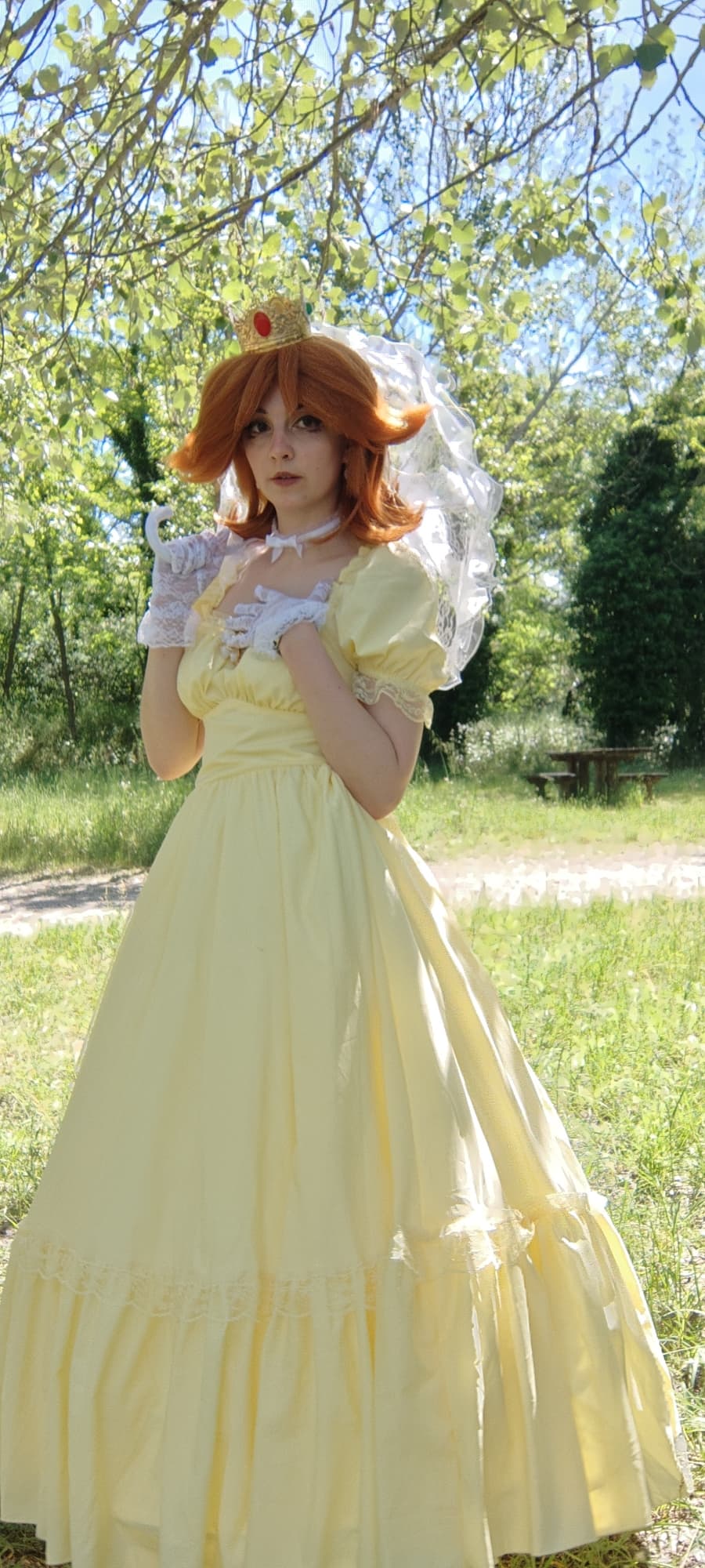 Daisy - Photo 4