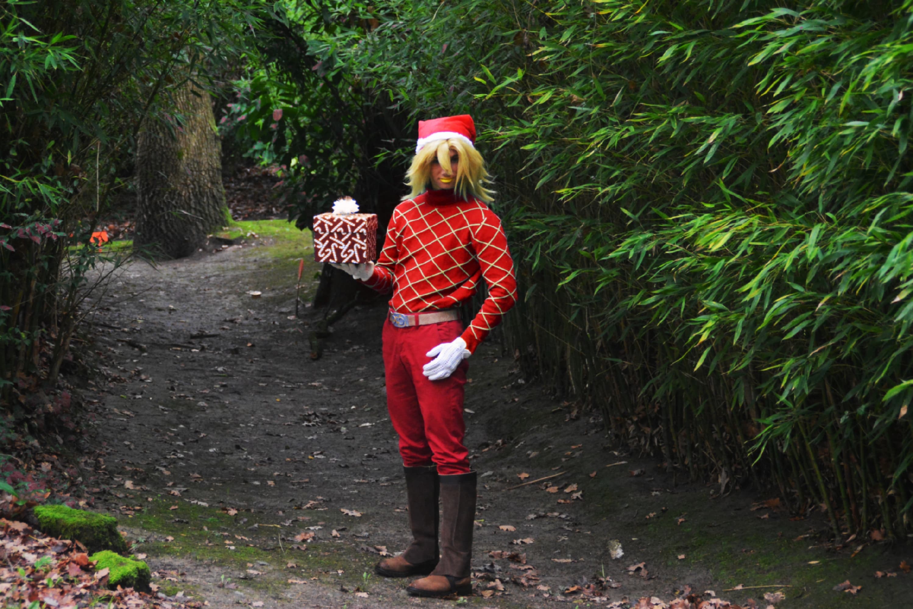 Diego Brando Noël - Photo 5