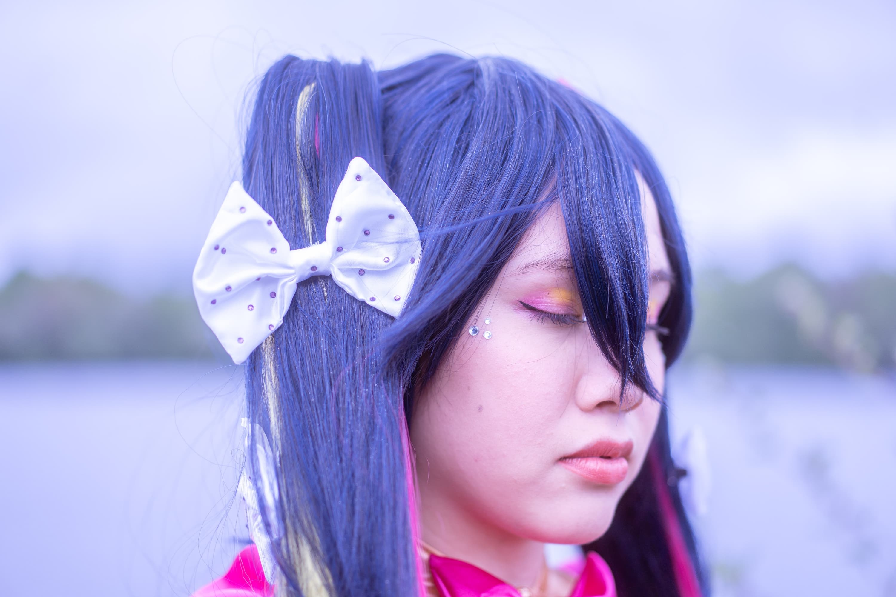 Miku mellomelloid - Photo 3