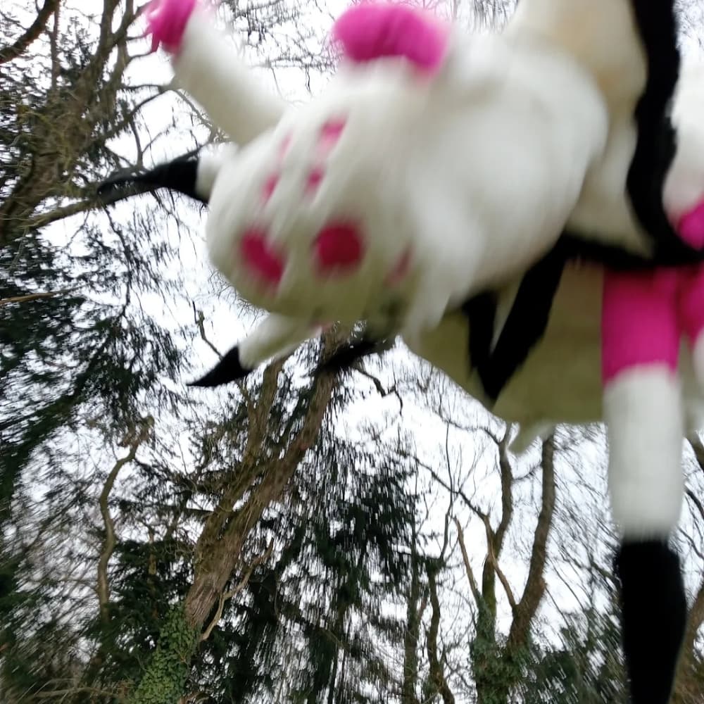 Peluche kumoko - Photo 11