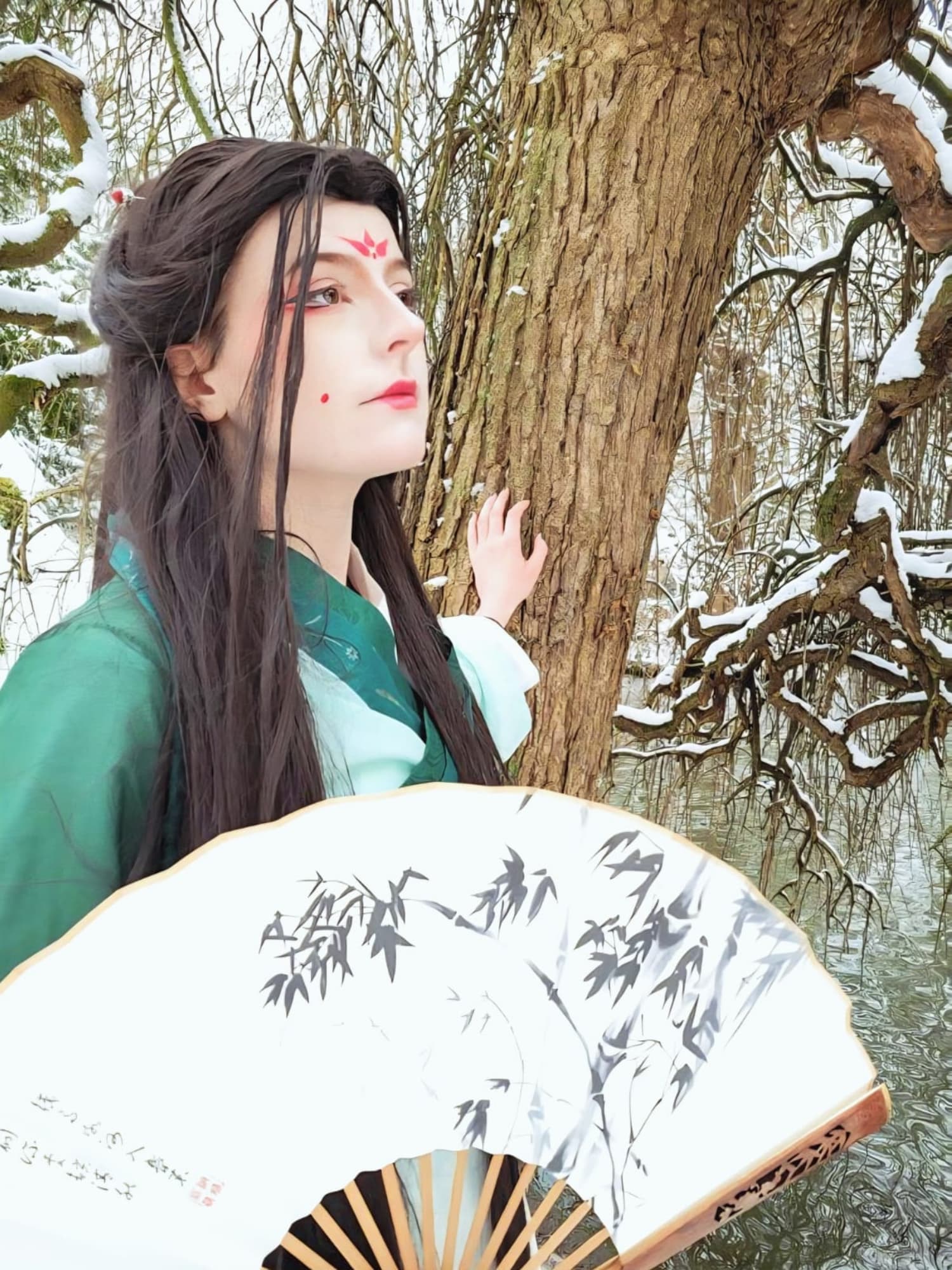 Sous la neige  - Photo 5