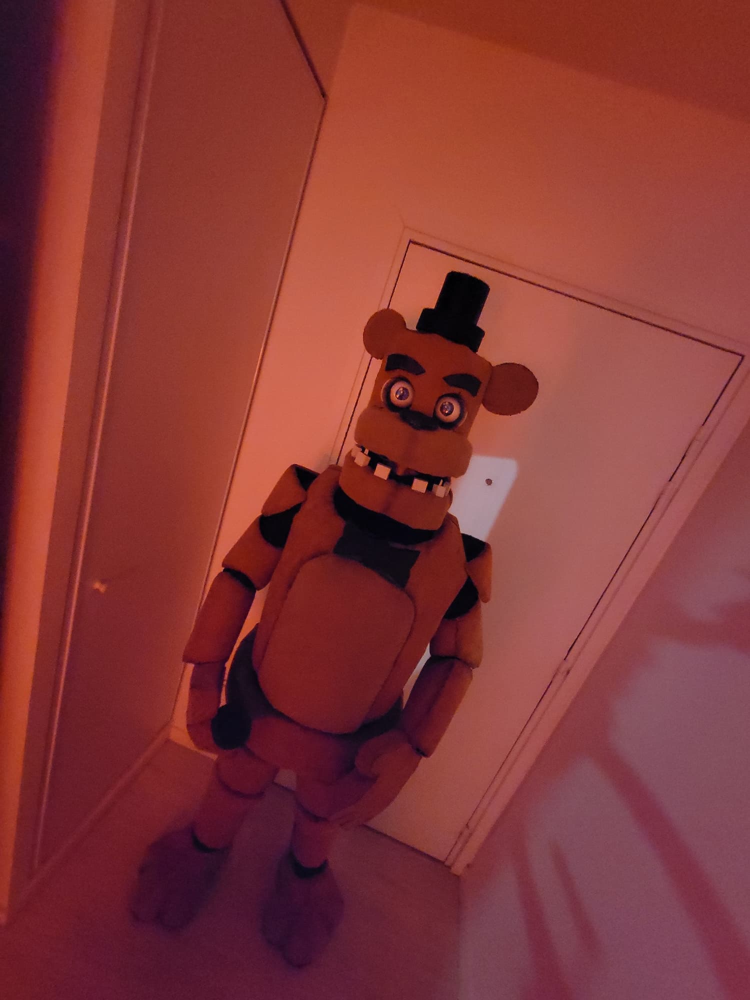 Freddy  - Photo 4