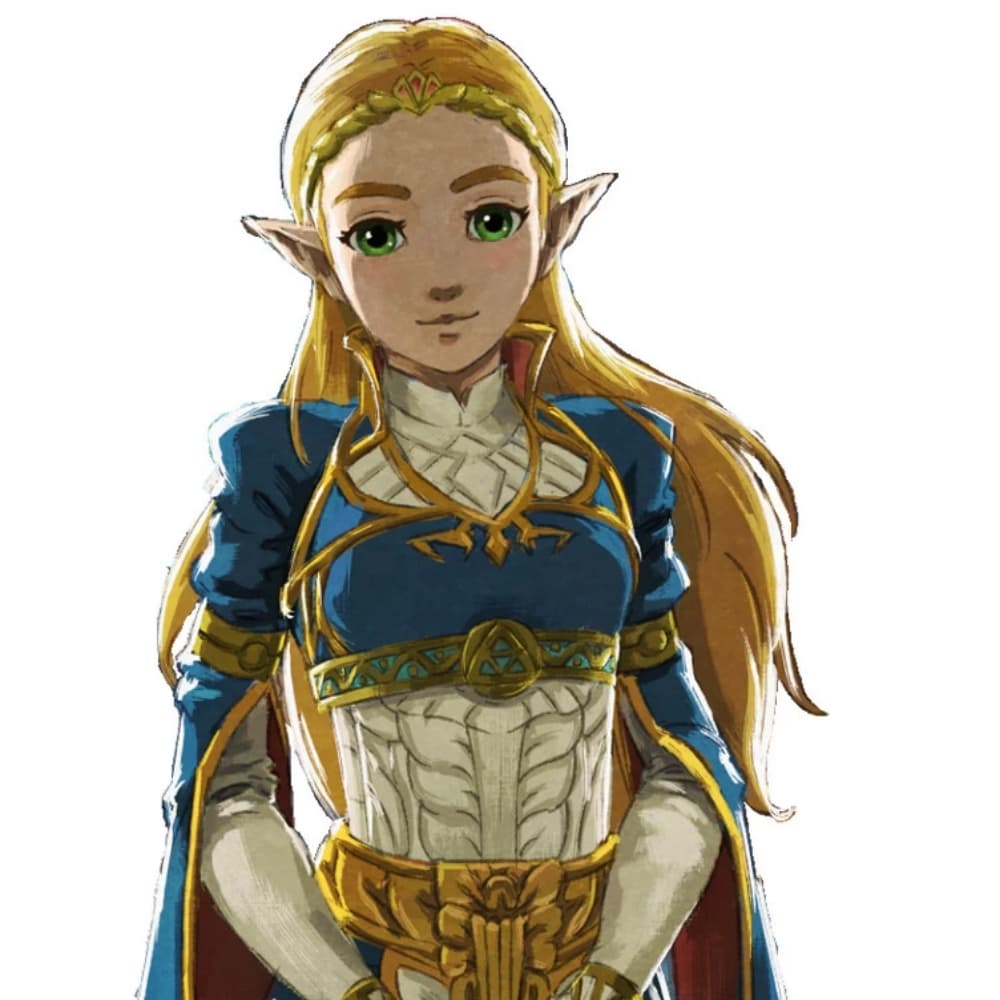 Royal Dress BOTW
