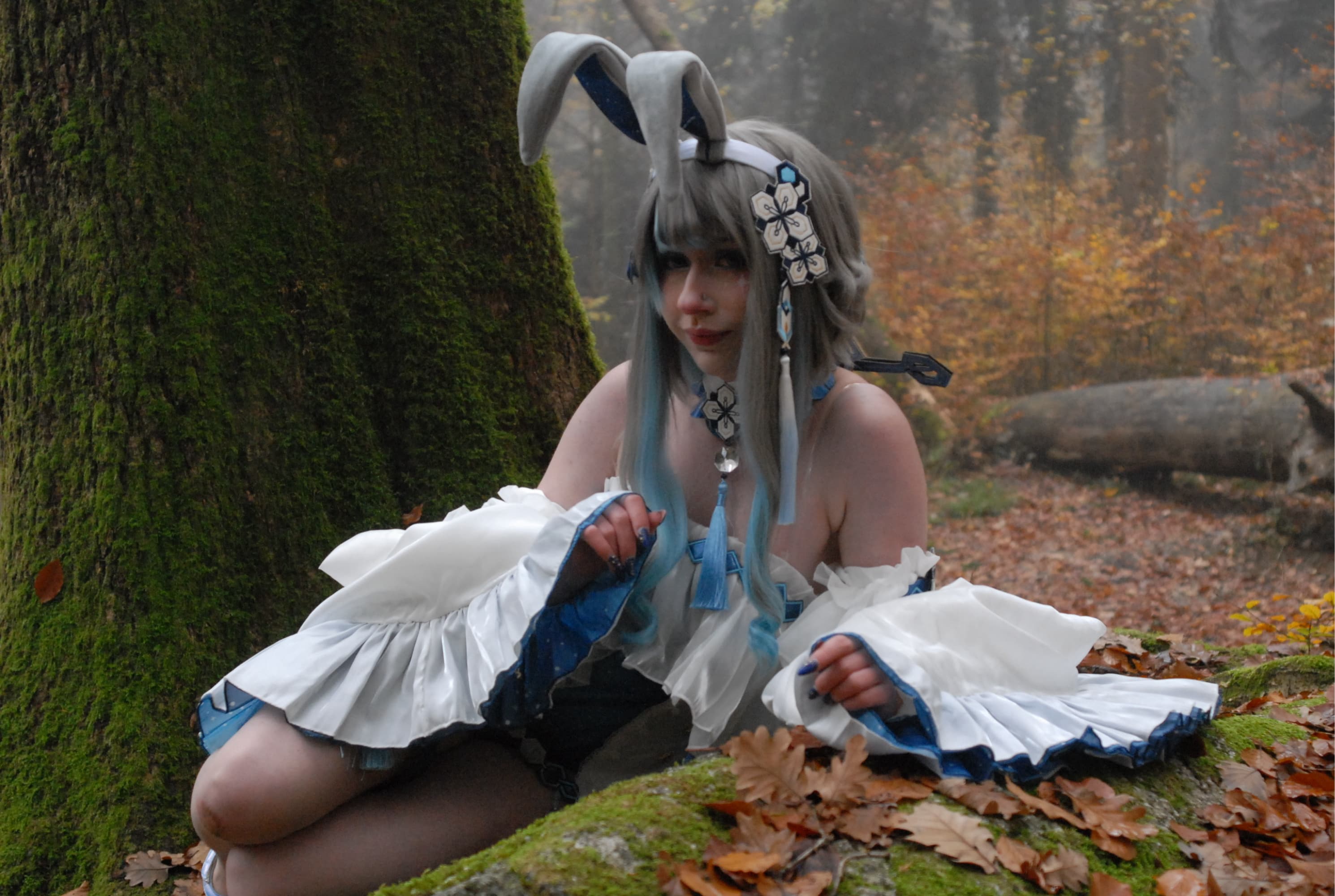 Guizhong Bunny - Photo 8