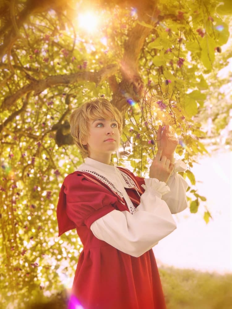 Joshua - Roseraie - Photo 4