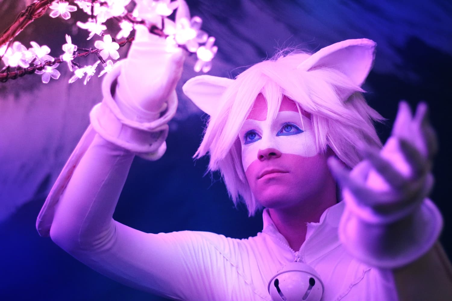 Miraculous ChatBlanc - Photo 1