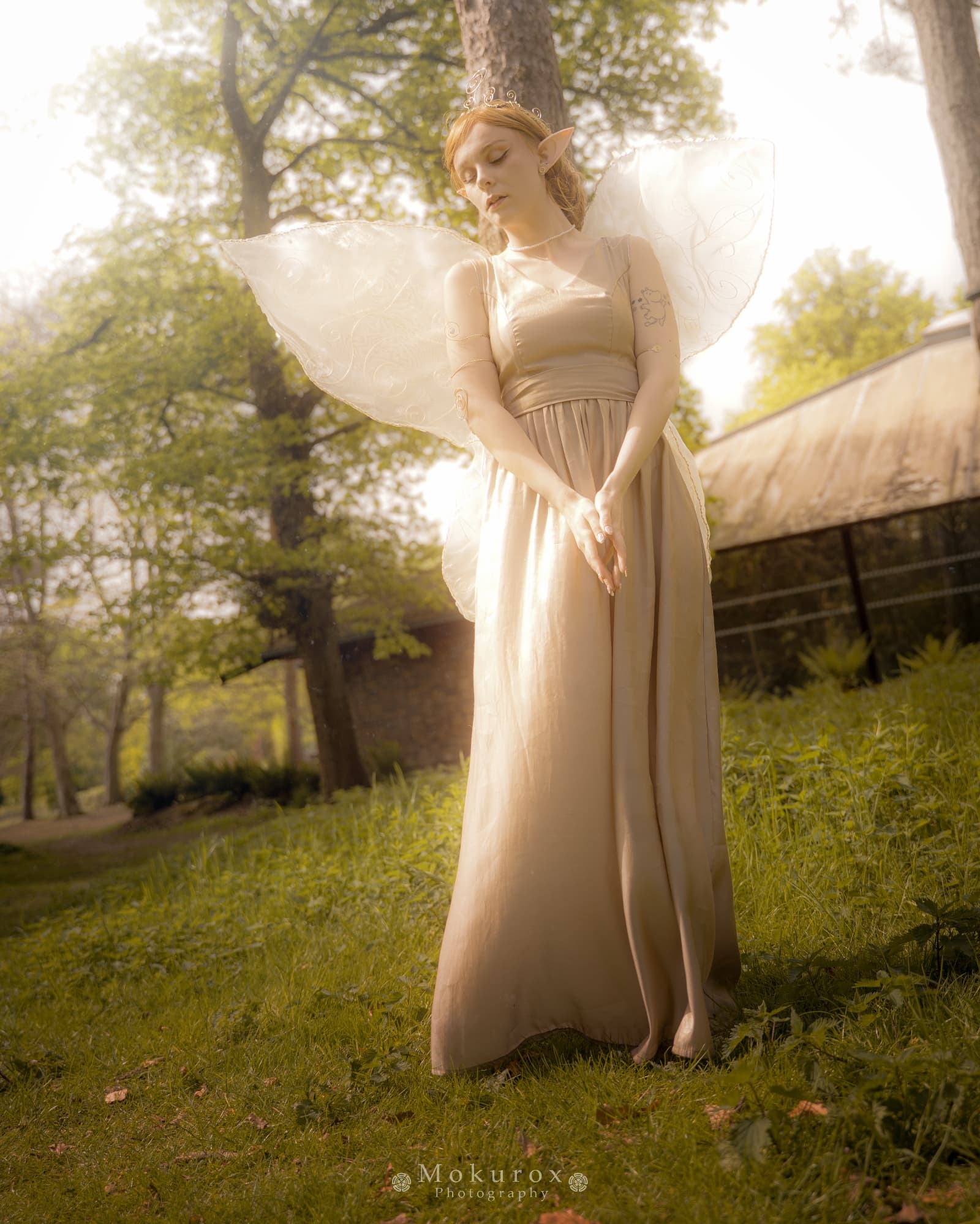 Reine Clarion - Photo 1