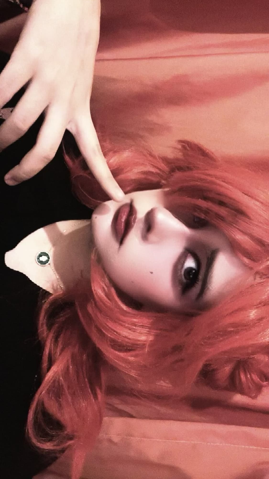 Oc blackbutler - Photo 3