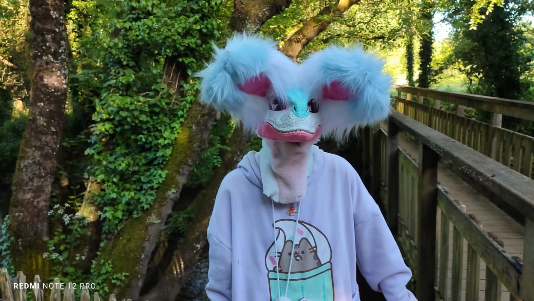 Debut du printemps  - Photo 6