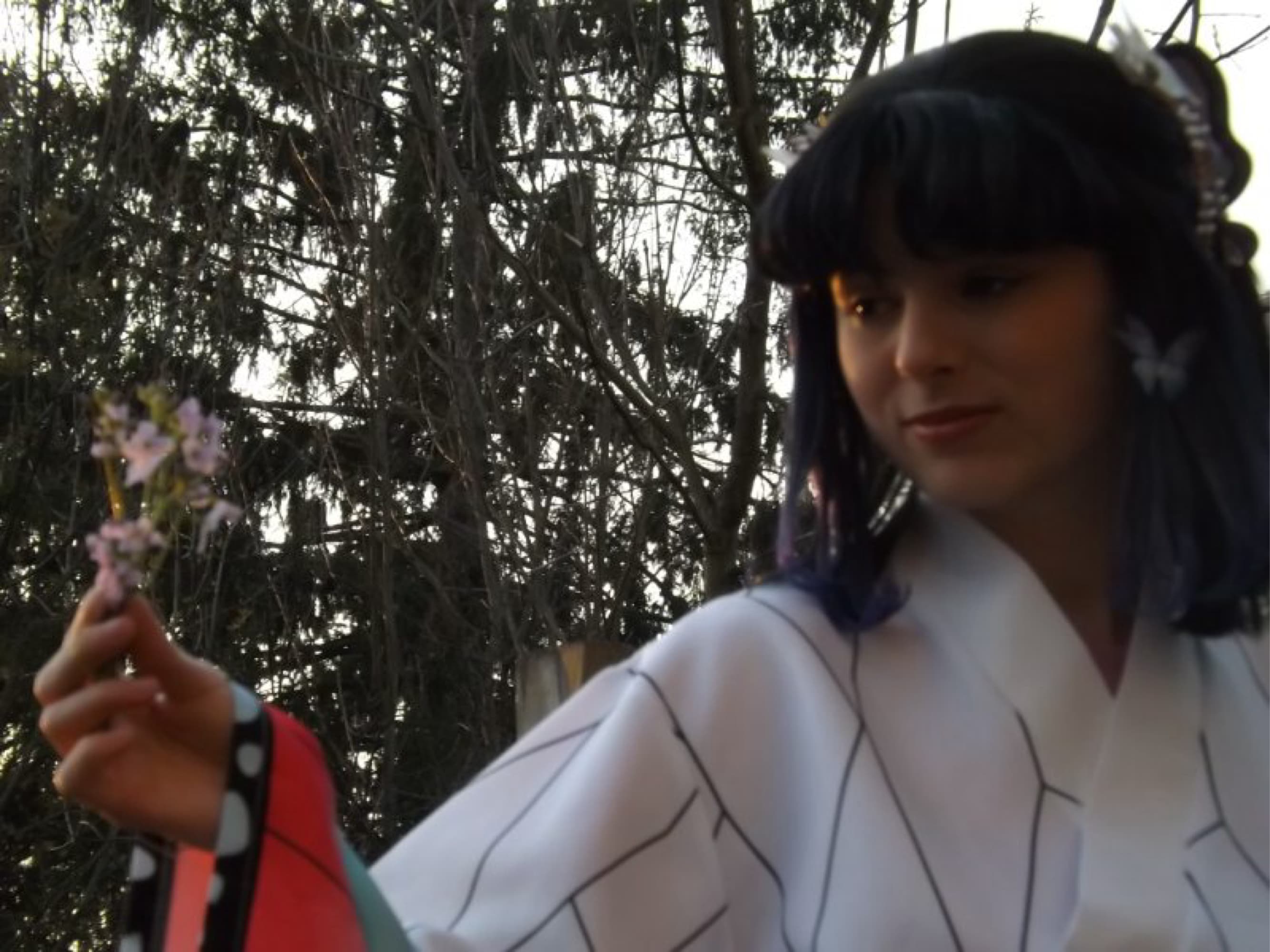 Shinobu kocho  - Photo 8