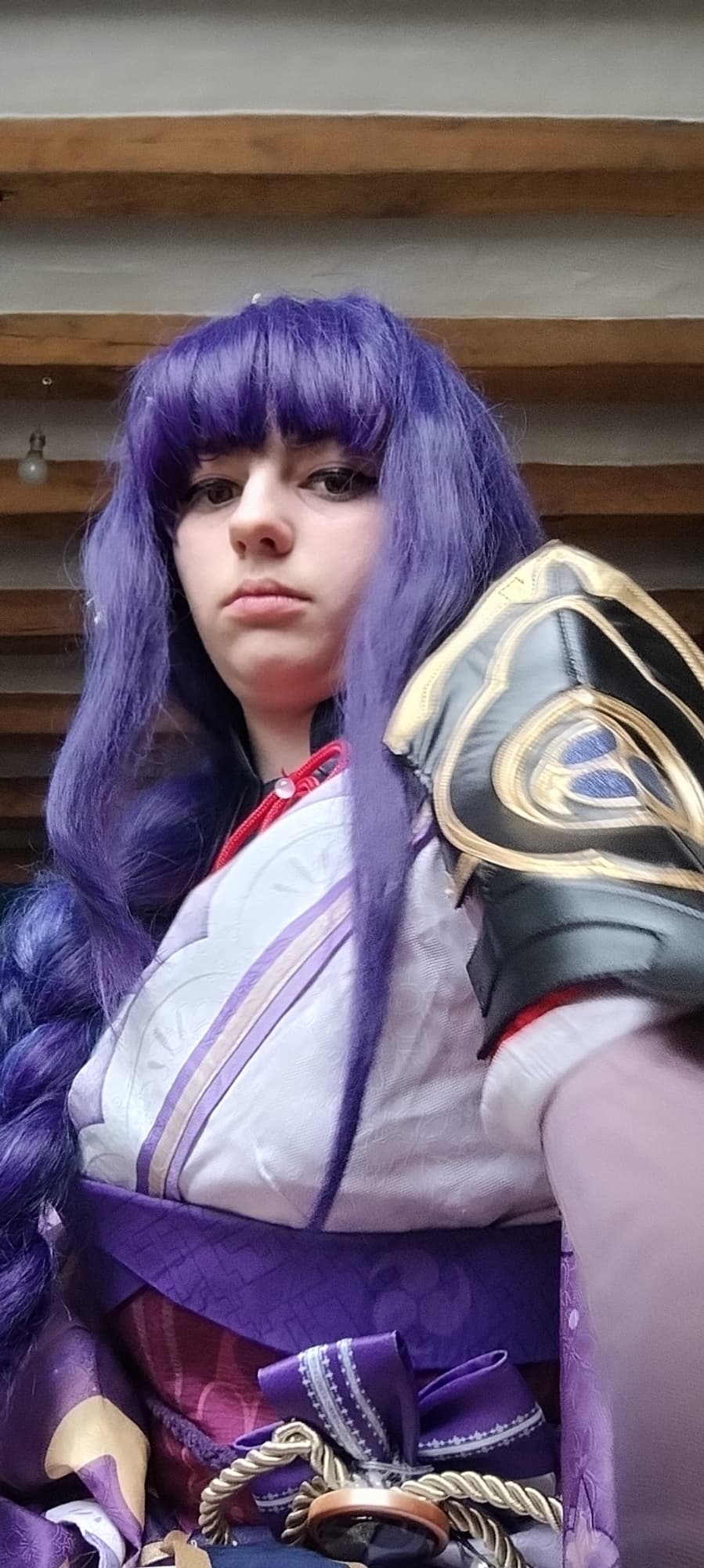 Raiden shogun  - Photo 16