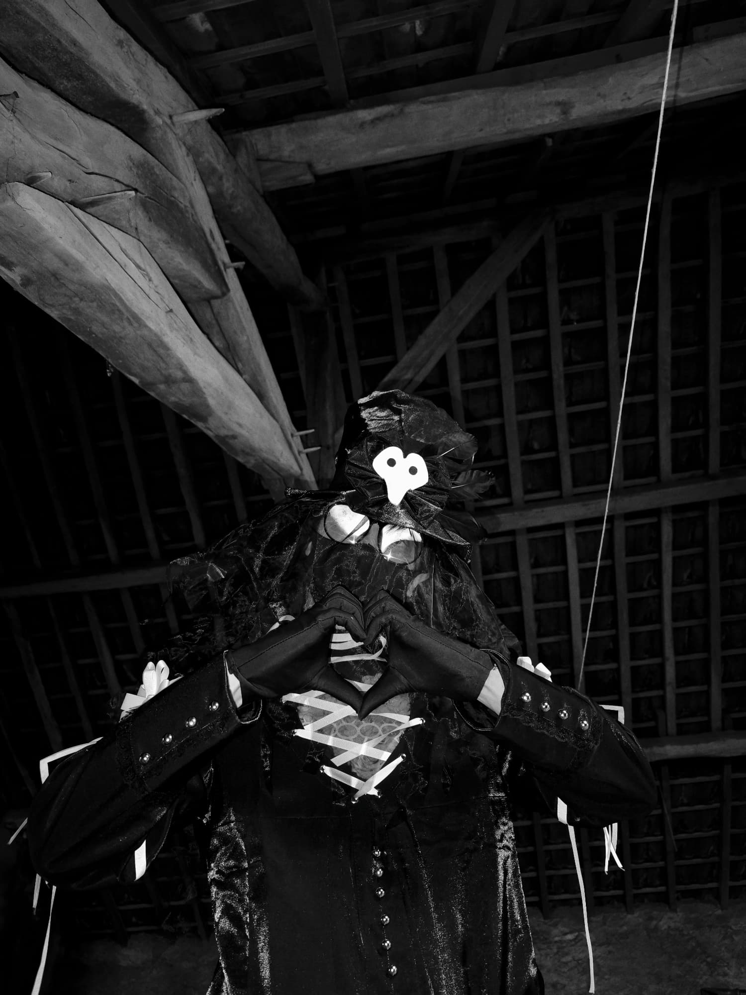 Trey Clover  - Photo 16