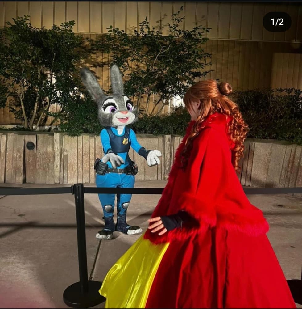 Belle noel - Photo 1