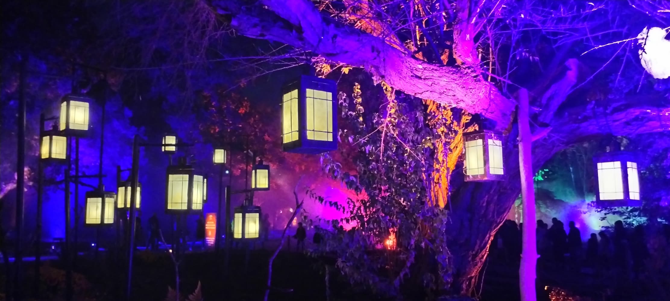 La forêt interdite - Photo 17