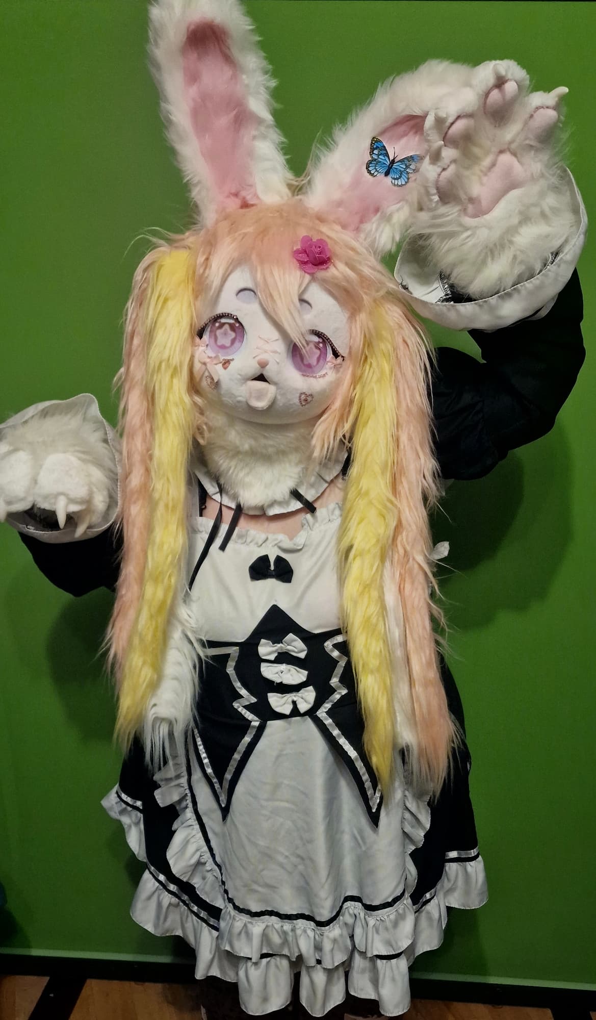 Rosalia Soubrette - Photo 8