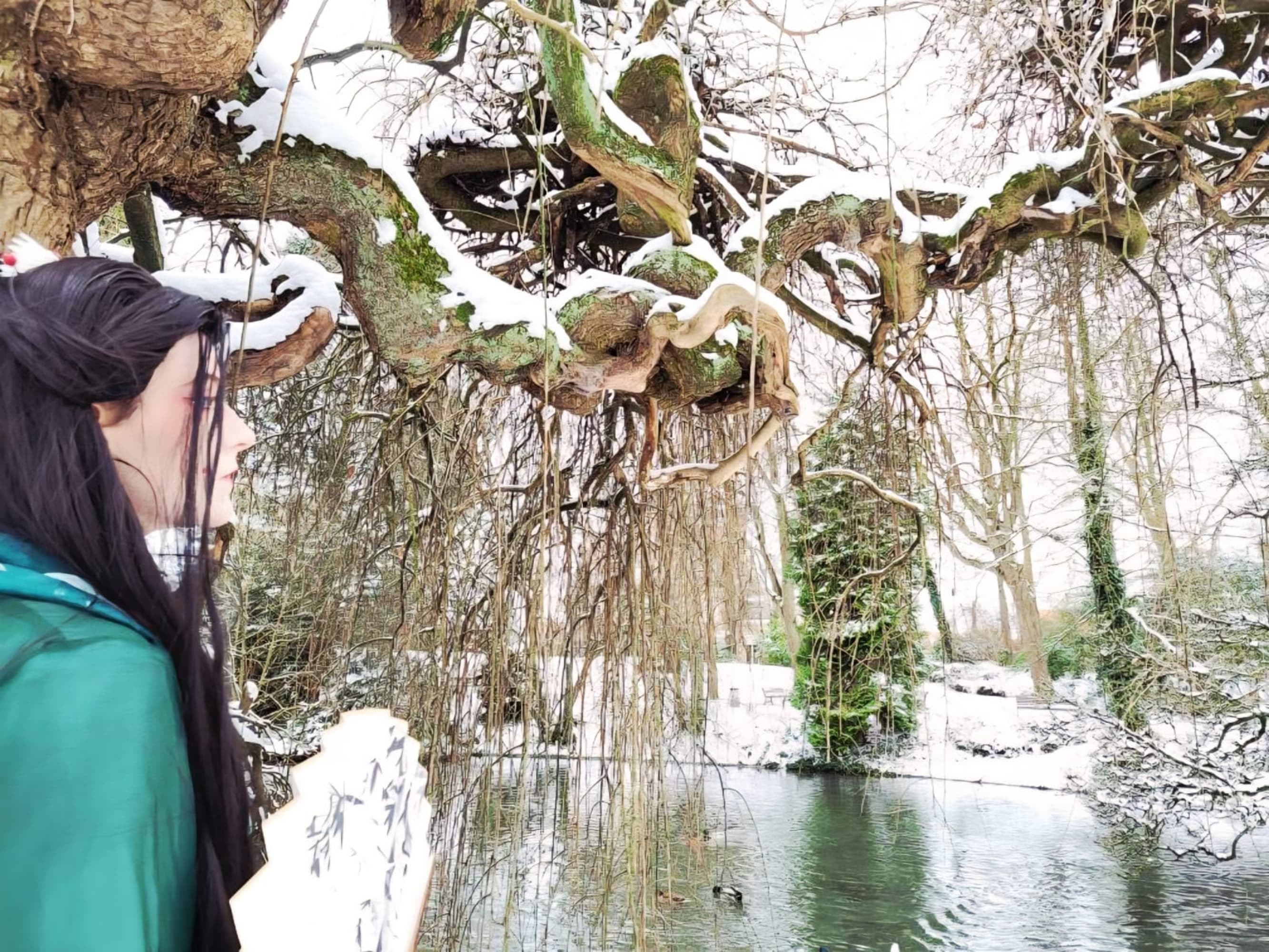 Sous la neige  - Photo 7