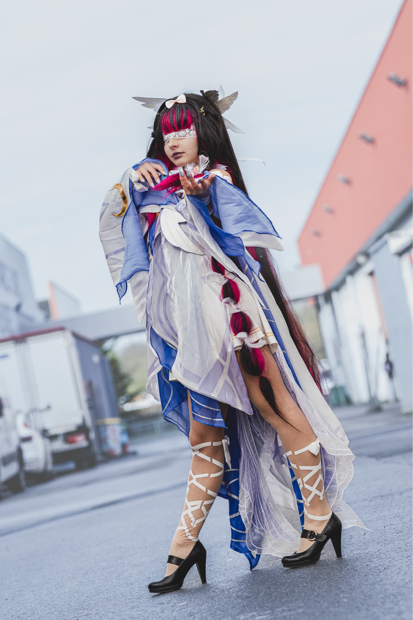 Columbina  - Photo 7