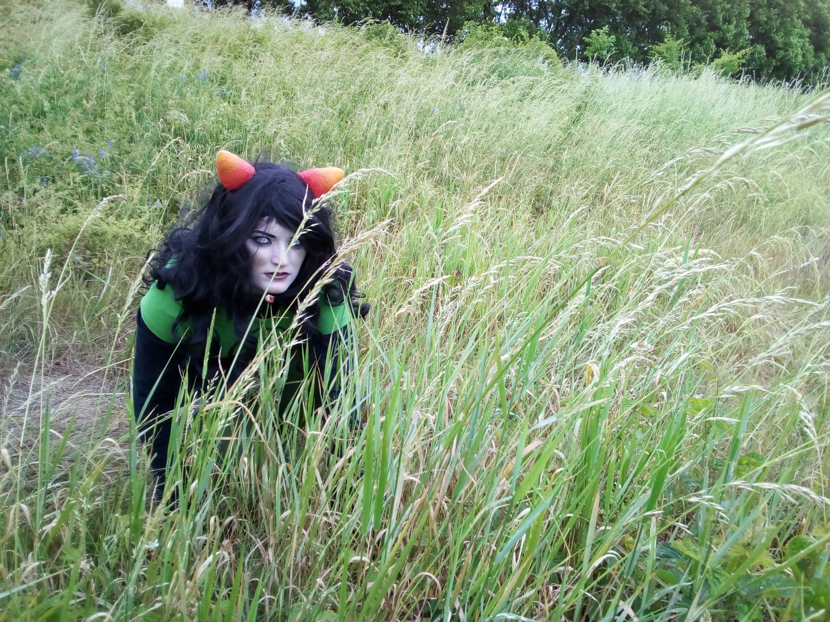 Meulin Leijon - Photo 1