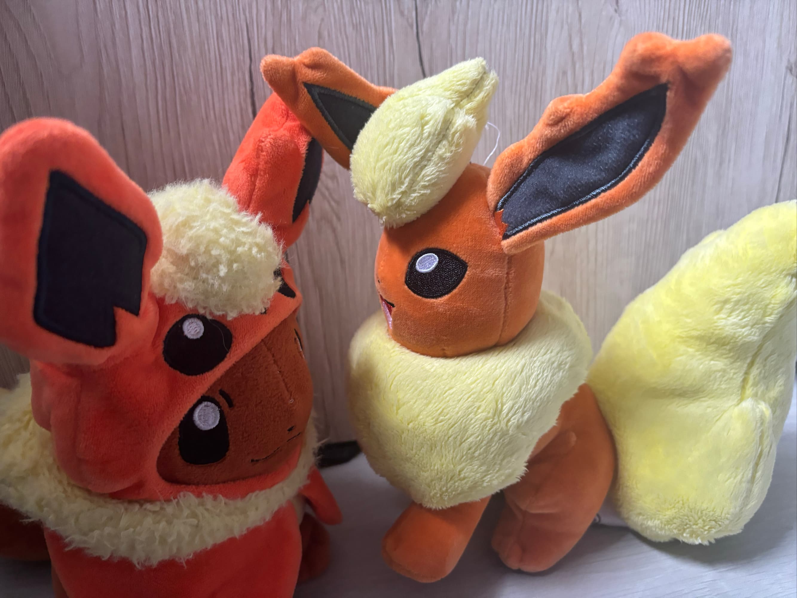 Evoli en Pyroli  - Photo 12