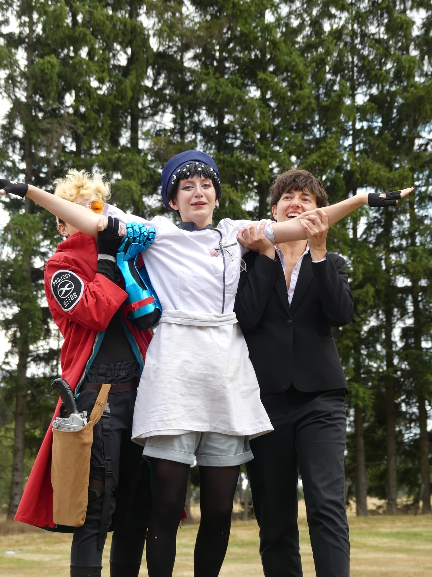 Gevaudan pop culture - Photo 11