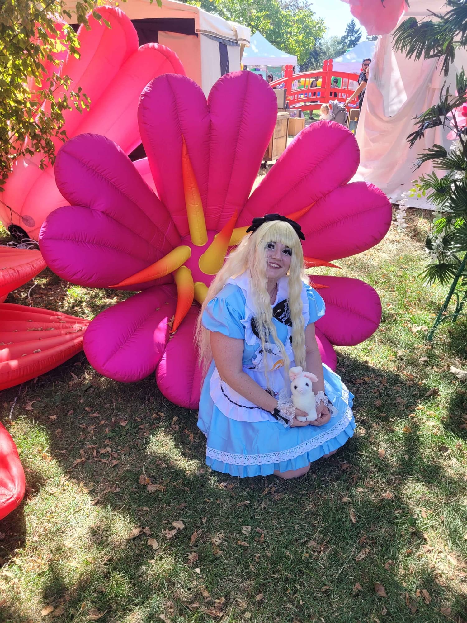 Alice 2024 - Photo 2