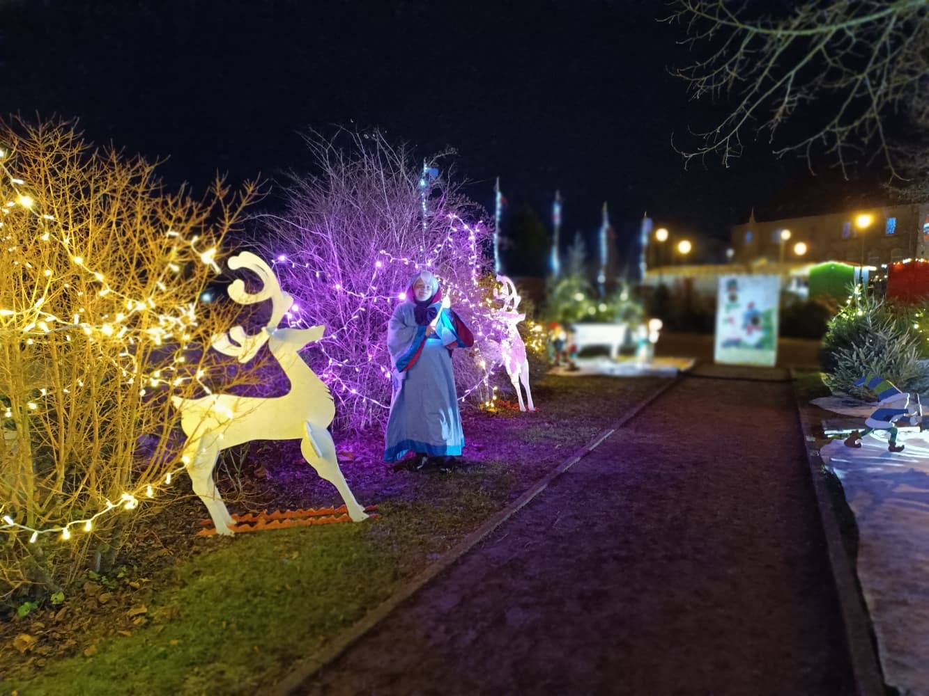 Bonne fée de Noël  - Photo 26