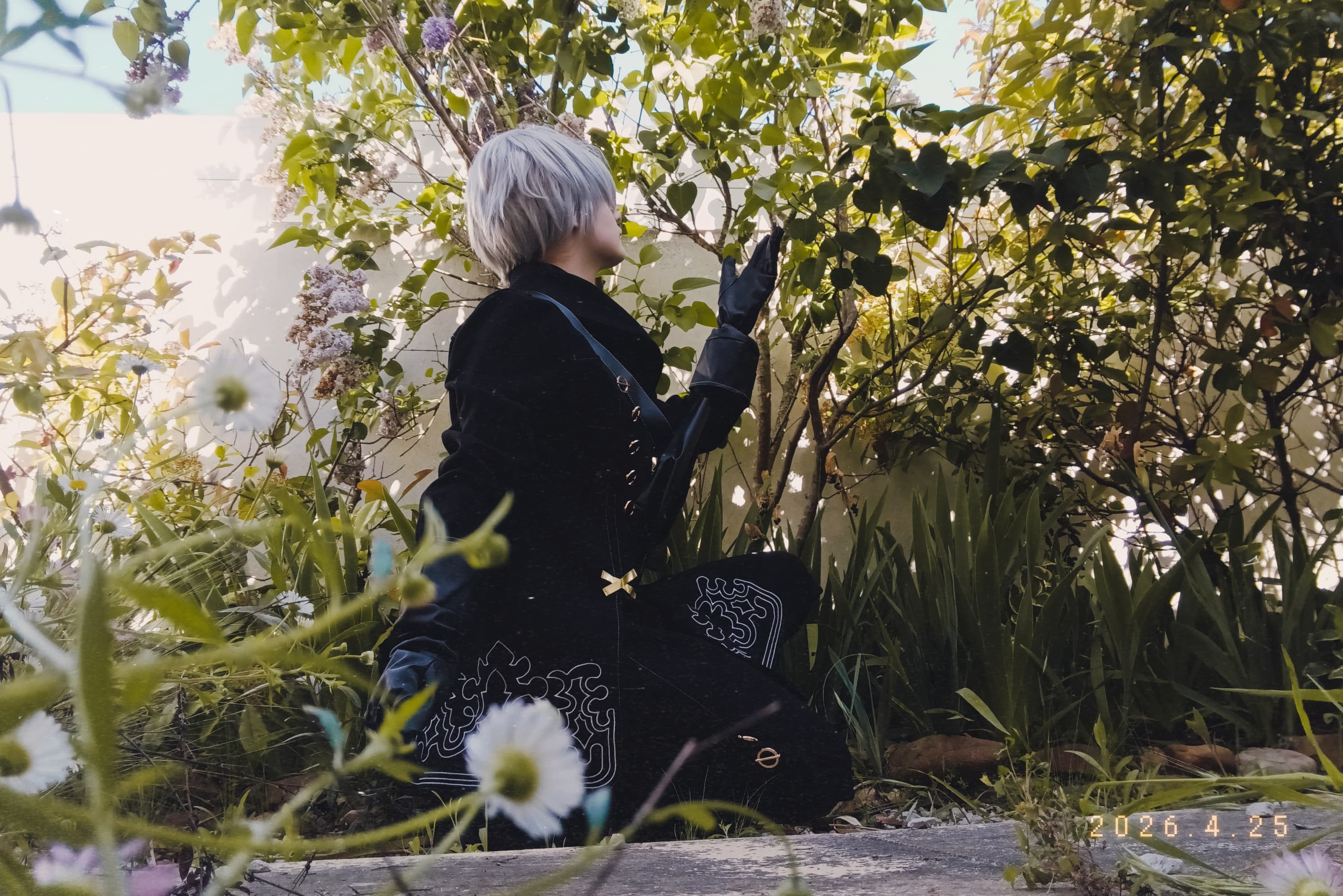 9s - Photo 3