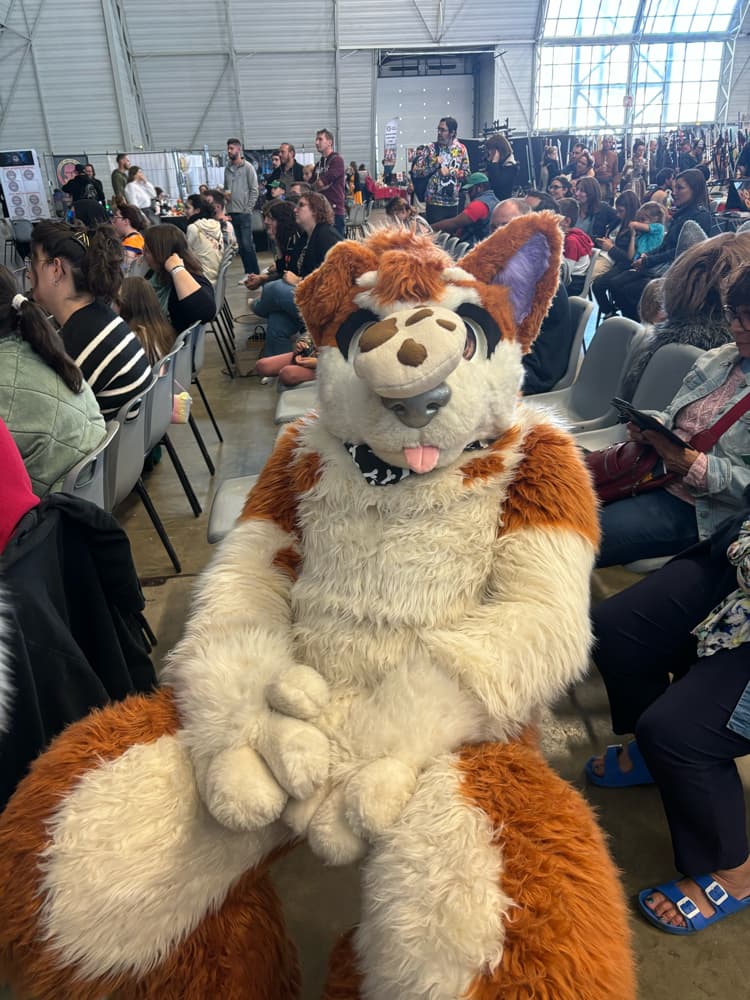 Chalon-sur-Saône  - Photo 4