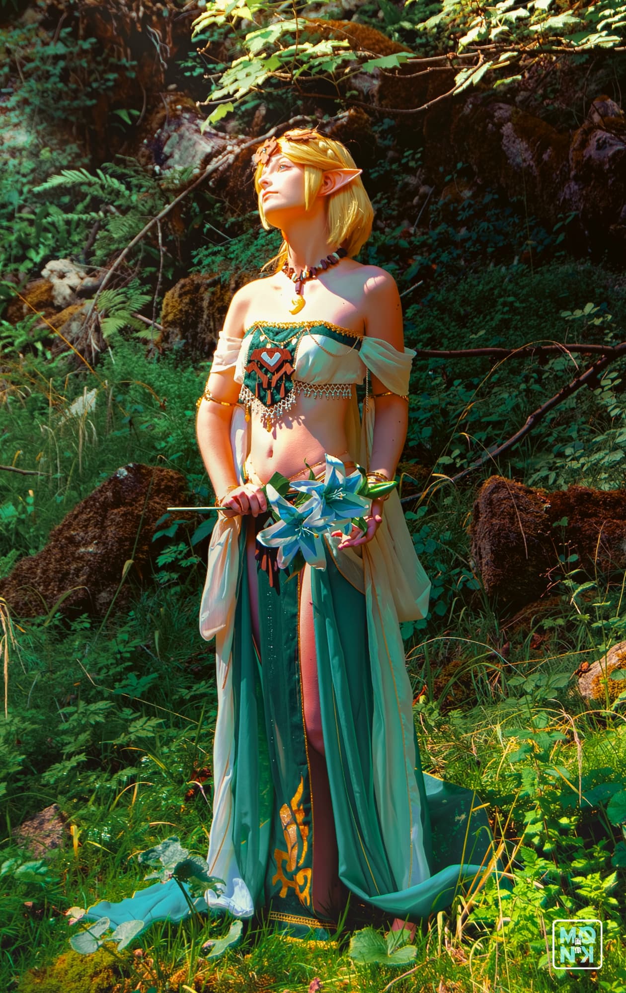Zelda - TOTK - Photo 13