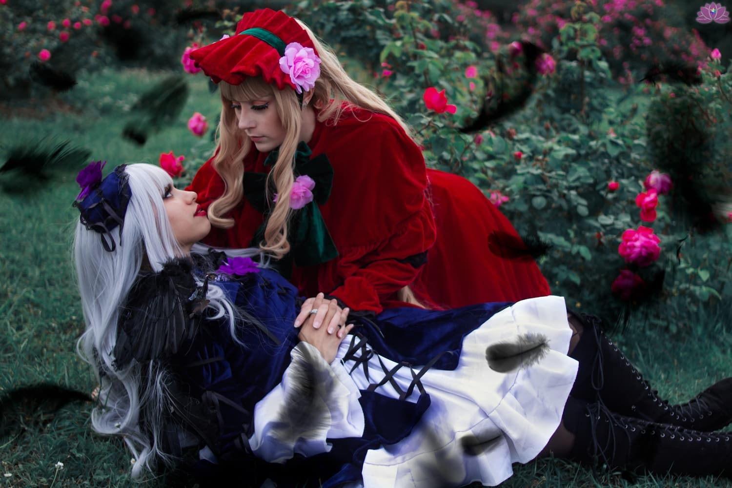 Duo rozen maiden - Photo 5