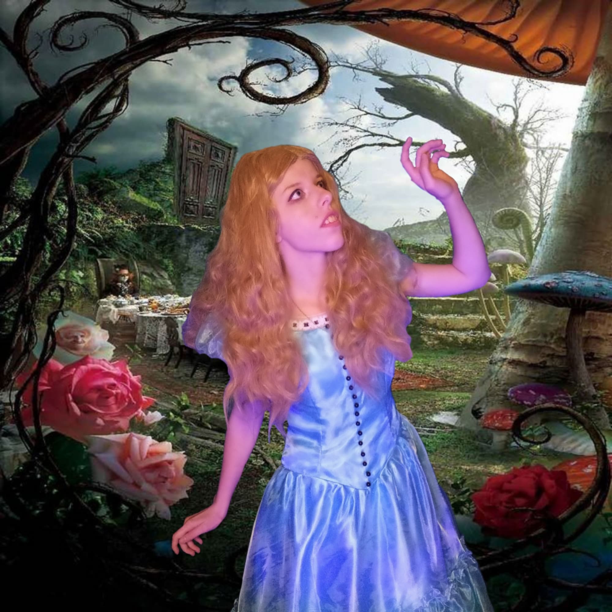 Alice Tim Burton ver - Alice in Wonderland cosplay photoshoot cover