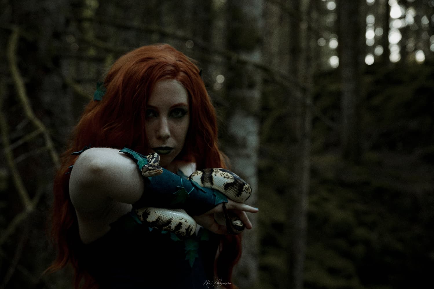 Poison Ivy - Photo 6