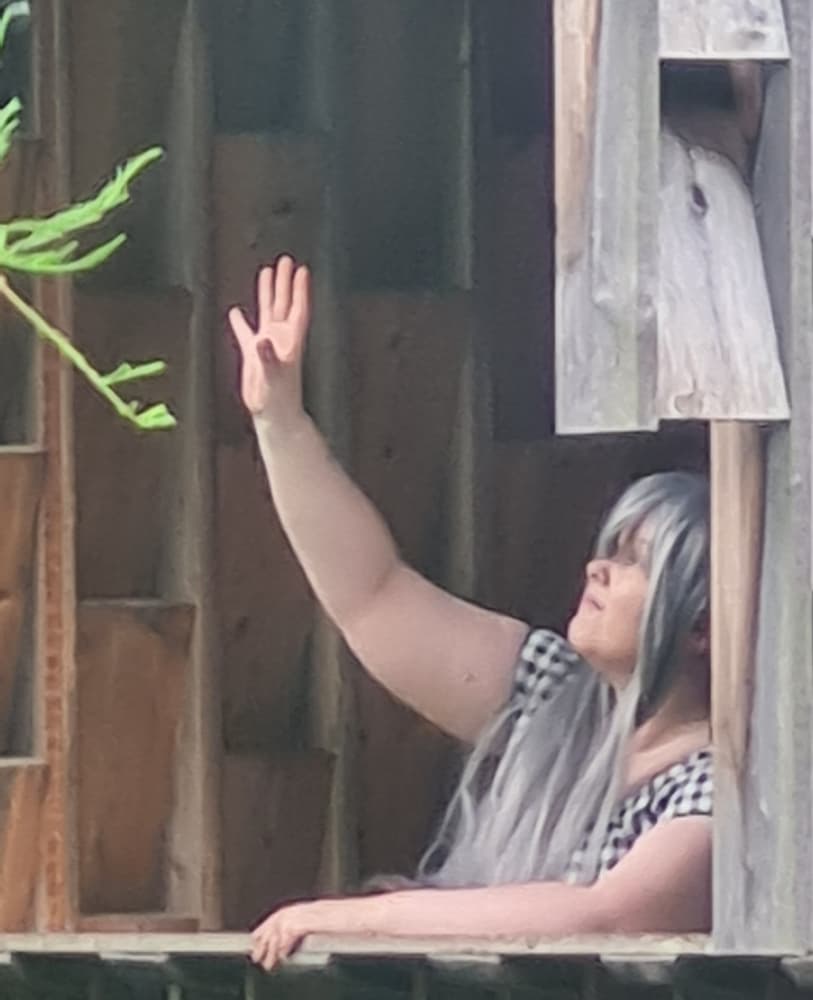 Corrin fire emblem  - Photo 5