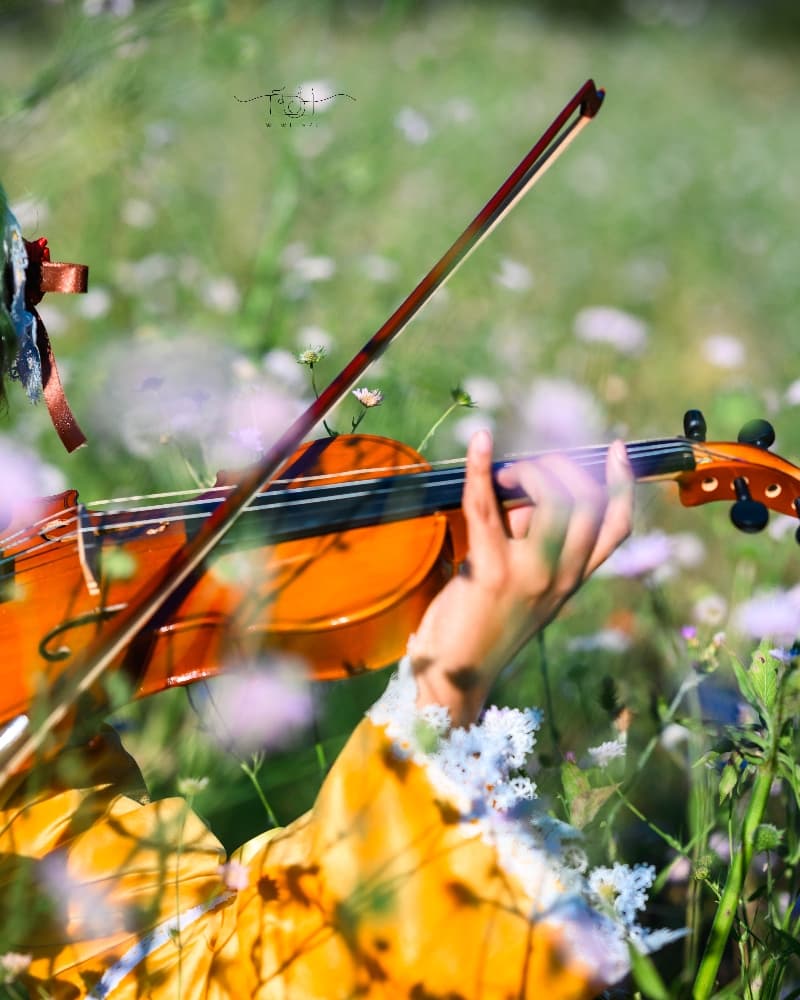 Kanaria by Deby - Photo 5