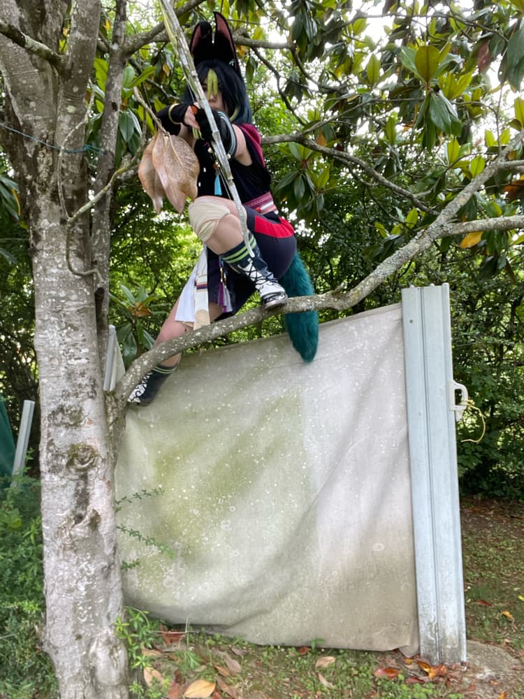 Tighnari  - Photo 12