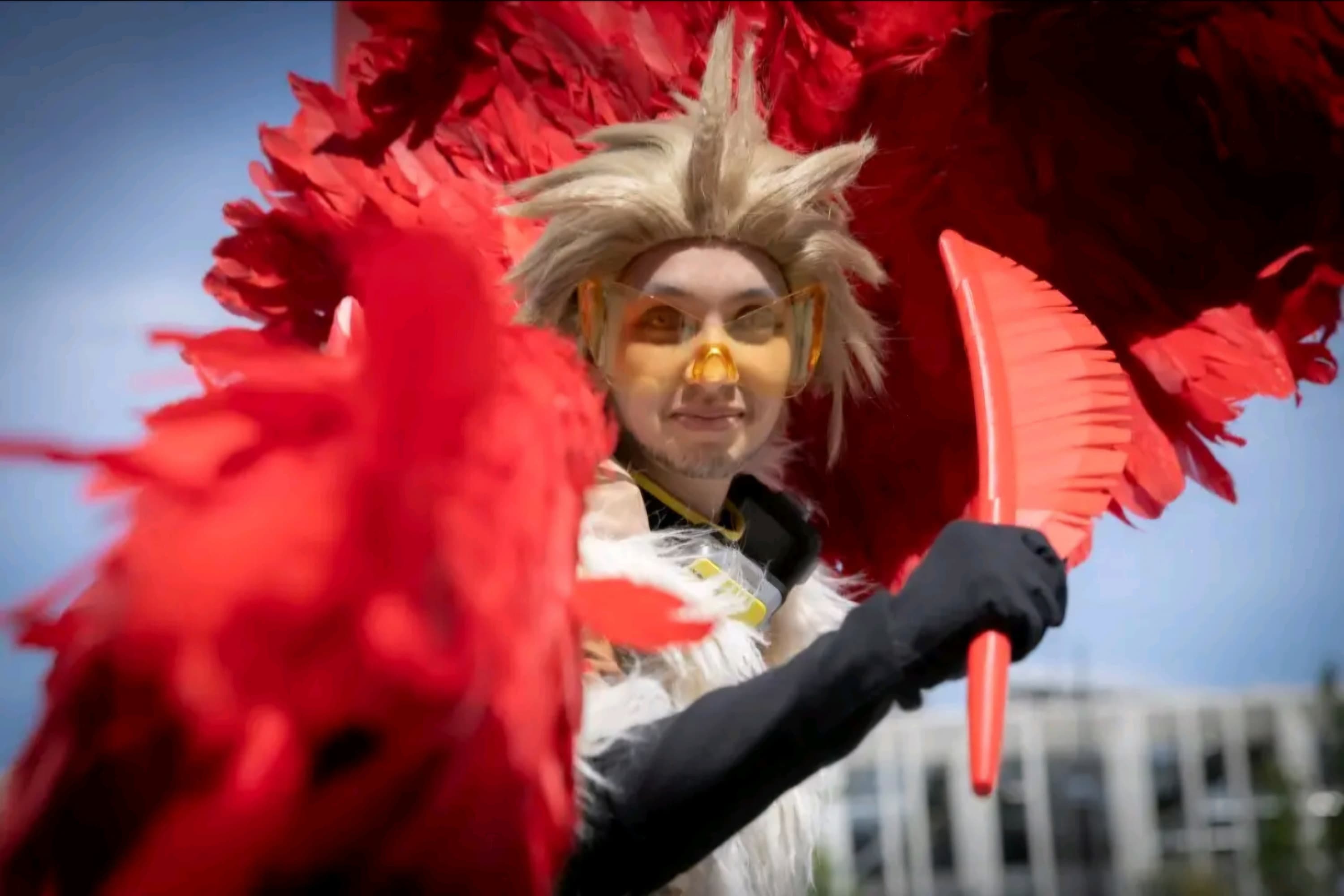 Hawks  - Photo 17